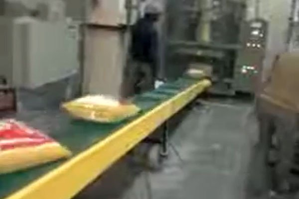 pouch-packing-conveyor